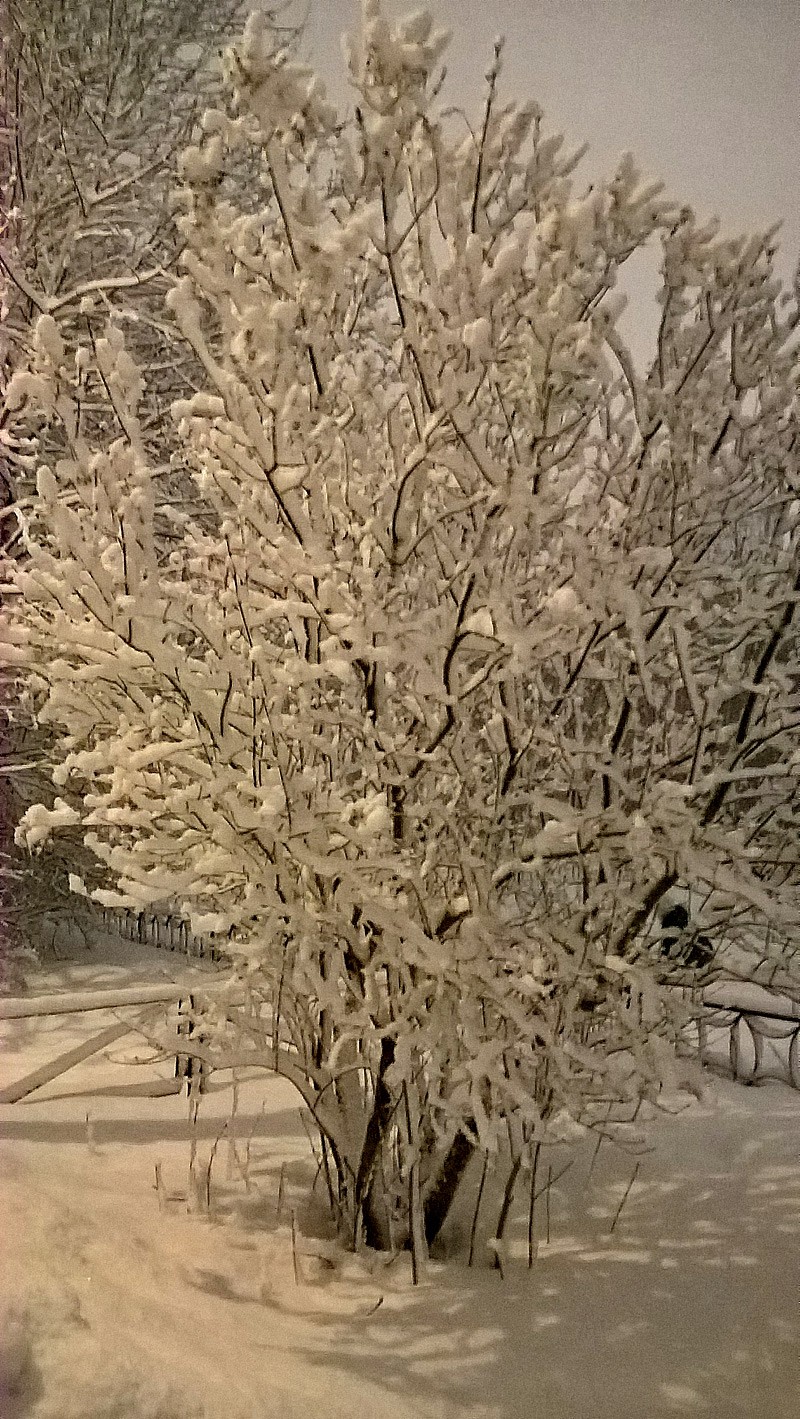 Весенняя зима в Купчино